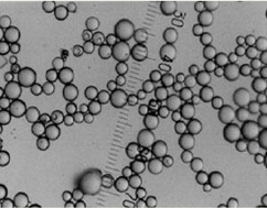 5d350211ac1fe.jpg QQ截圖20190722082359.jpg