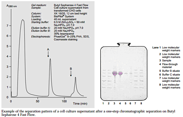 5d41093925578.png A3.png