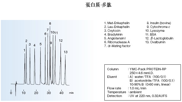 5d561b91387e8.png 2.png