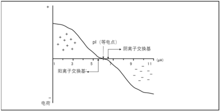 6226f3495aacb.png 111.png