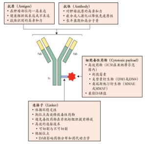 63b63ac05118b.png 3333.png